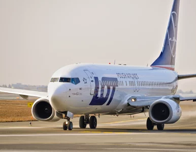 Miniatura: 3000 zł na wymarzoną podróż. LOT ruszył z...