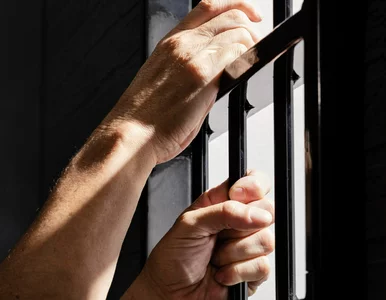 Miniatura: Za każde wyzwisko, groźbę, uderzenie....