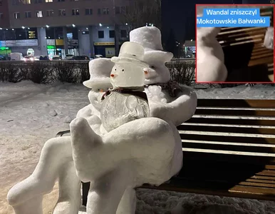 Miniatura: Rodzina bałwanków w Warszawie...