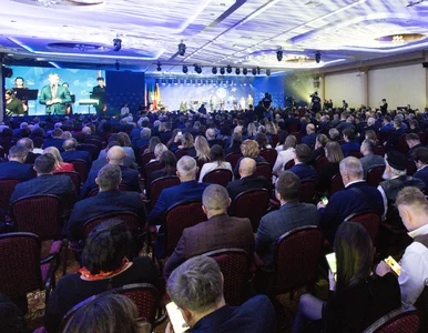 Miniatura: Panele partnerskie Samorządu Województwa...