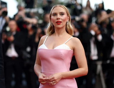 Miniatura: Gwiazdy na czerwonym dywanie w Cannes. Co...