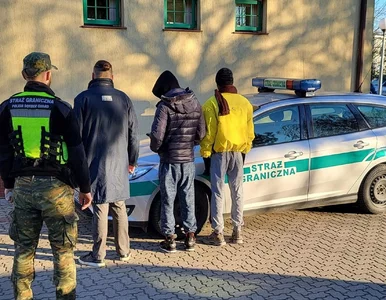 Miniatura: KE przedstawiła wspólny unijny system...