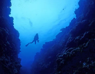 Miniatura: Zbadaliśmy 0,001 procent dna oceanów....