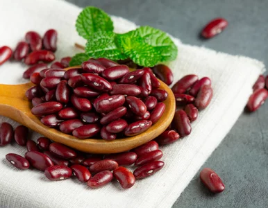 Miniatura: Ani soczewica, ani ciecierzyca. Bogata w...