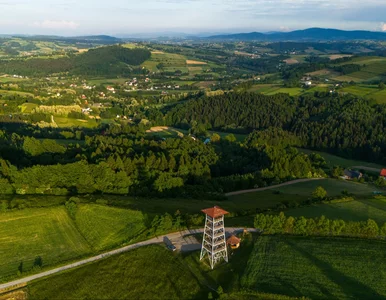 Miniatura: W Polsce może powstać nowe uzdrowisko. W...