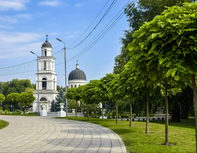 Miniatura: Polacy powinni lepiej poznać ten kierunek....