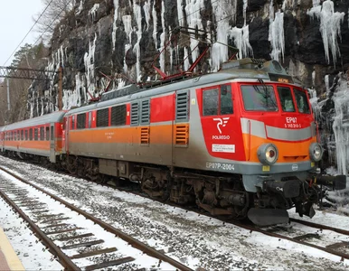 Miniatura: Polski przewoźnik z niespodzianką dla...