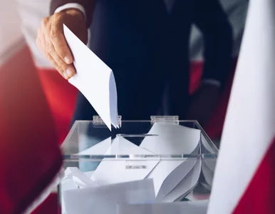 Miniatura: Wielka mobilizacja Polaków za granicą....