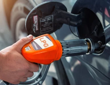 Miniatura: Gaz płynny z całego świata. Polska...