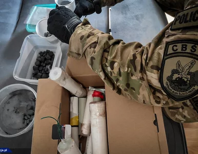 Miniatura: Brutalny gang rozbity. Był powiązany z...