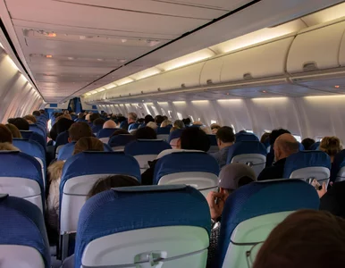 Miniatura: Turyści w Polsce będą zachwyceni. Darmowe...