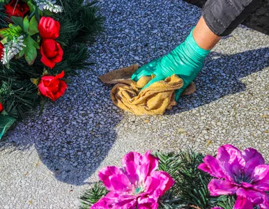 Miniatura: Wymieszaj i spryskaj nagrobek. Mech i...