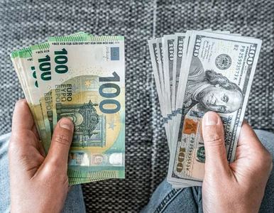 Miniatura: Kursy walut 26 lutego 2025. Po ile dolar,...