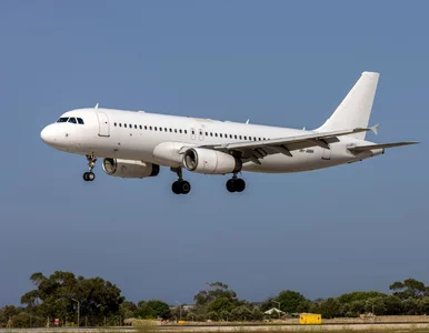 Miniatura: Historia prawie jak w znanym filmie....