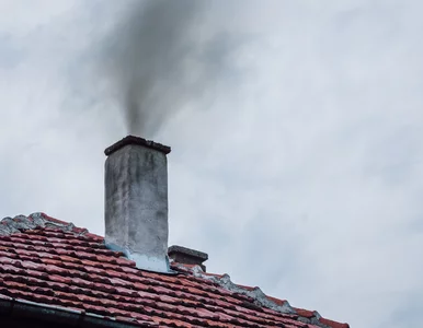 Miniatura: Nieprzypadkowe kłopoty pieców na pellet. W...