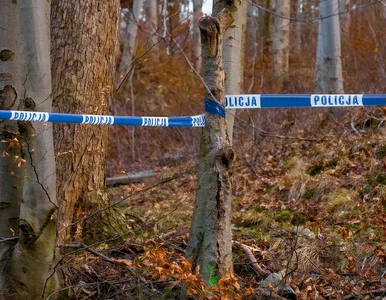Miniatura: Wraca sprawa brutalnej zbrodni na...