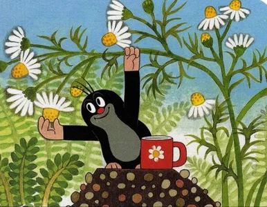 Miniatura: QUIZ z wieczorynek. 
Reksio, Maja, Krecik