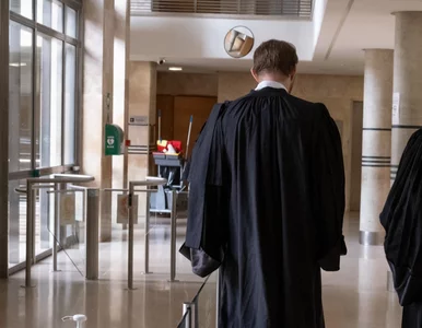 Miniatura: Co dzieje się ze spadkiem po Tomaszu...