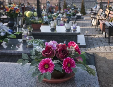 Miniatura: Wymieszaj przed wyjściem na cmentarz....