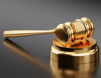 Miniatura: Polskie sądy i tak zaleją „wiborowe”...