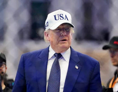 Miniatura: Polacy podzieleni w ocenie Donalda Trumpa....