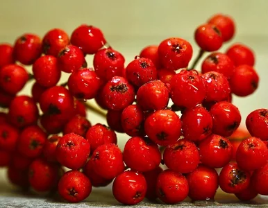 Miniatura: Dekoracja? Nie tylko! To kulki pełne mocy....