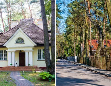 Miniatura: Tutaj całe miasto przypomina ogród. To...