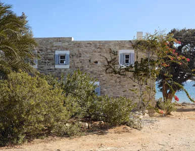 Miniatura: Tu deptano winogrona. Dziś to jeden z...