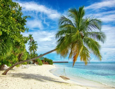 Miniatura: Gdzie w grudniu jest słonecznie? Te...