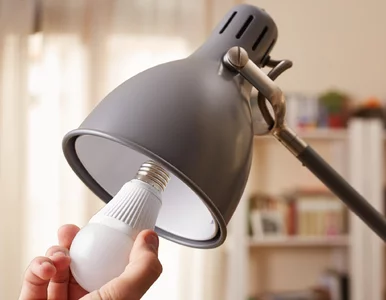 Miniatura: Gdzie wyrzucić przepaloną żarówkę?...