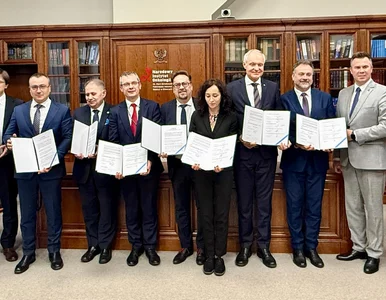 Miniatura: Interdyscyplinarne konsorcjum na Śląsku...