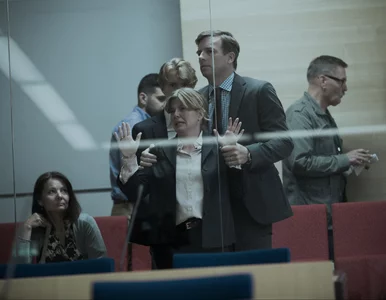 Miniatura: To skandynawska perełka Netfliksa....