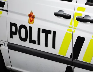 Miniatura: Strzały w centrum handlowym. Sprawcą 19-latek