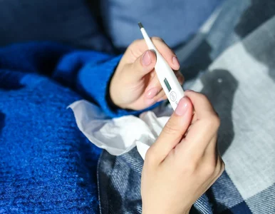 Miniatura: Nowy wariant grypy zbiera żniwo....