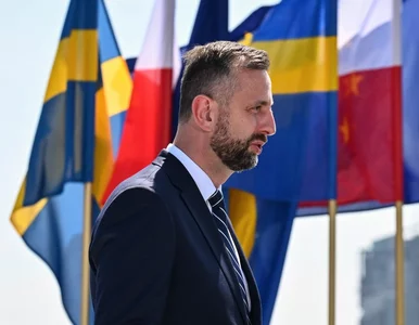 Miniatura: Kosiniak-Kamysz: Zełenski zobaczył interes...