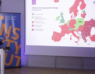 Miniatura: Polska zieloną wyspą na tle Europy....