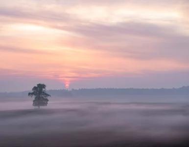 Miniatura: To miejsce warto odwiedzić zimą. „Spokojna...