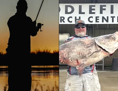 Miniatura: Wędkarz miał szczęście. Rekordowy okaz...