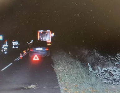Miniatura: Zderzyła się z łosiem. Potem w jej auto...