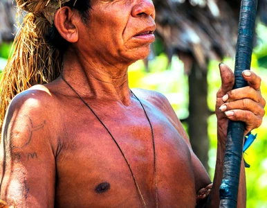 Miniatura: Przepowiednia na Nowy Rok. Te elementy...