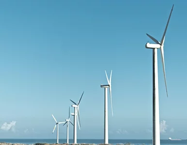 Miniatura: Więcej pracy i mocy wiatrowej. Pod...