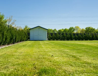 Miniatura: Nowa atrakcja zdrowotna w polskiej wiosce....