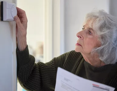 Miniatura: Ubóstwo energetyczne. Jak Polska wypada na...