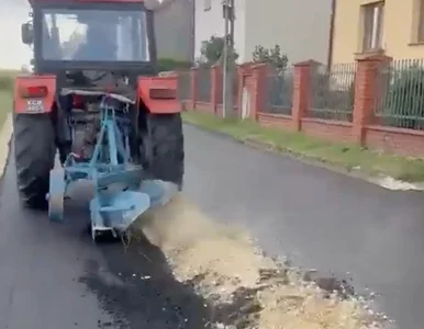 Miniatura: Pługiem zniszczył drogę za 300 tys. zł....