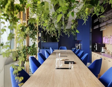 Miniatura: Biuro bliżej natury. Jak biophilic design...