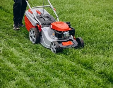 Miniatura: To nie żart – za koszenie trawy możesz...