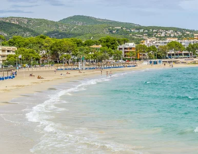 Miniatura: Wysokie kary na Majorce. Tego powinni...