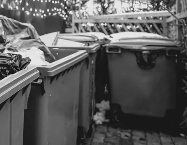 Miniatura: W śmietniku leżał martwy płód. Wkroczyła...