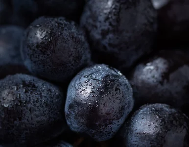 Miniatura: Nowe superfood? Polacy mijają je w...