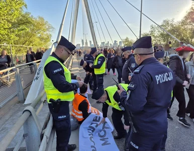 Miniatura: Aktywiści zablokowali most w Warszawie,...